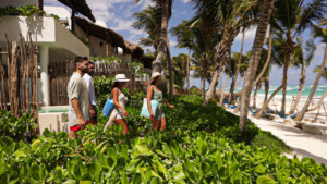 beachfront rooms at Cabanas Tulum Hotel