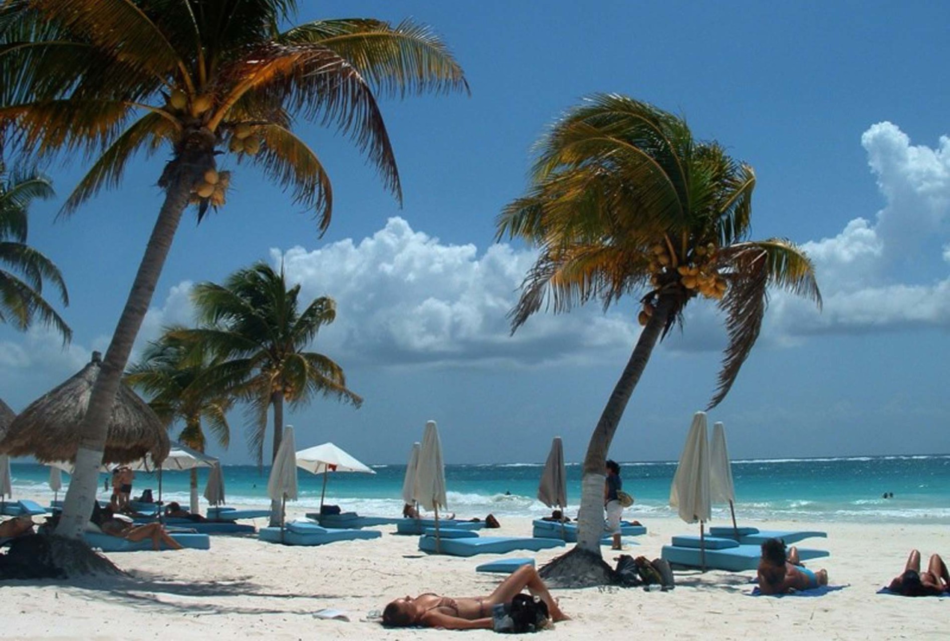Extreme Control is Rated #1 on Trip Advisor’s Things to Do in Tulum List