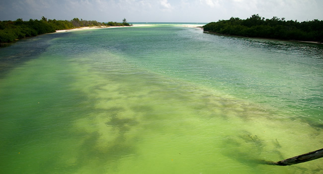 Journey from the Cabanas Tulum Hotel into the Wild Beauty of Sian Ka’an