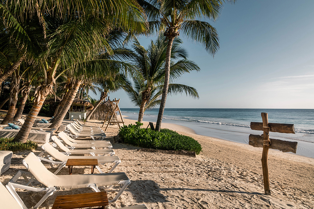 When does sargassum hit Tulum? What to do