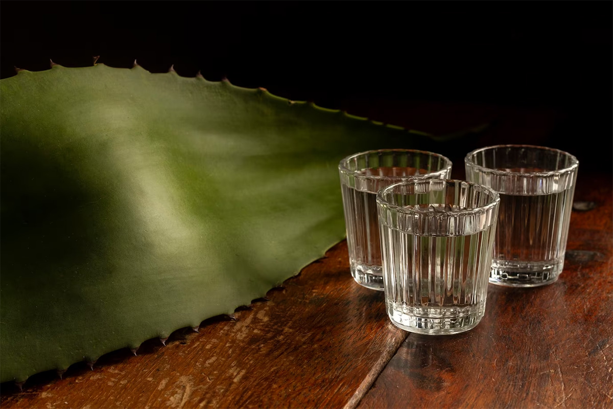 Differences between Tequila and Mezcal