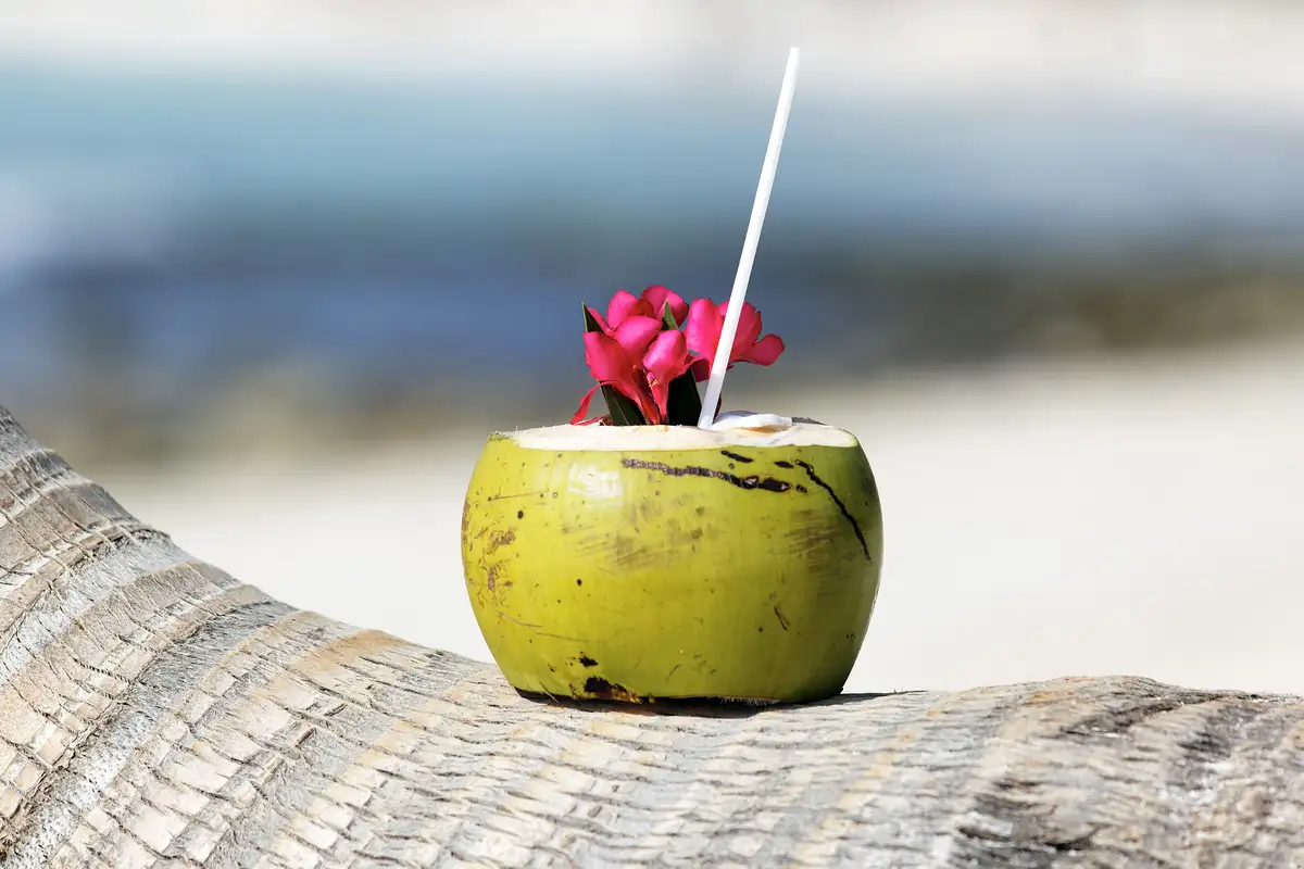 Group getaway guide: planning a friends’ trip to Tulum