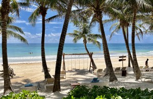 Private beach with palm trees at a boutique hotel in Tulum, Mexico, offering a serene and exclusive coastal experience.